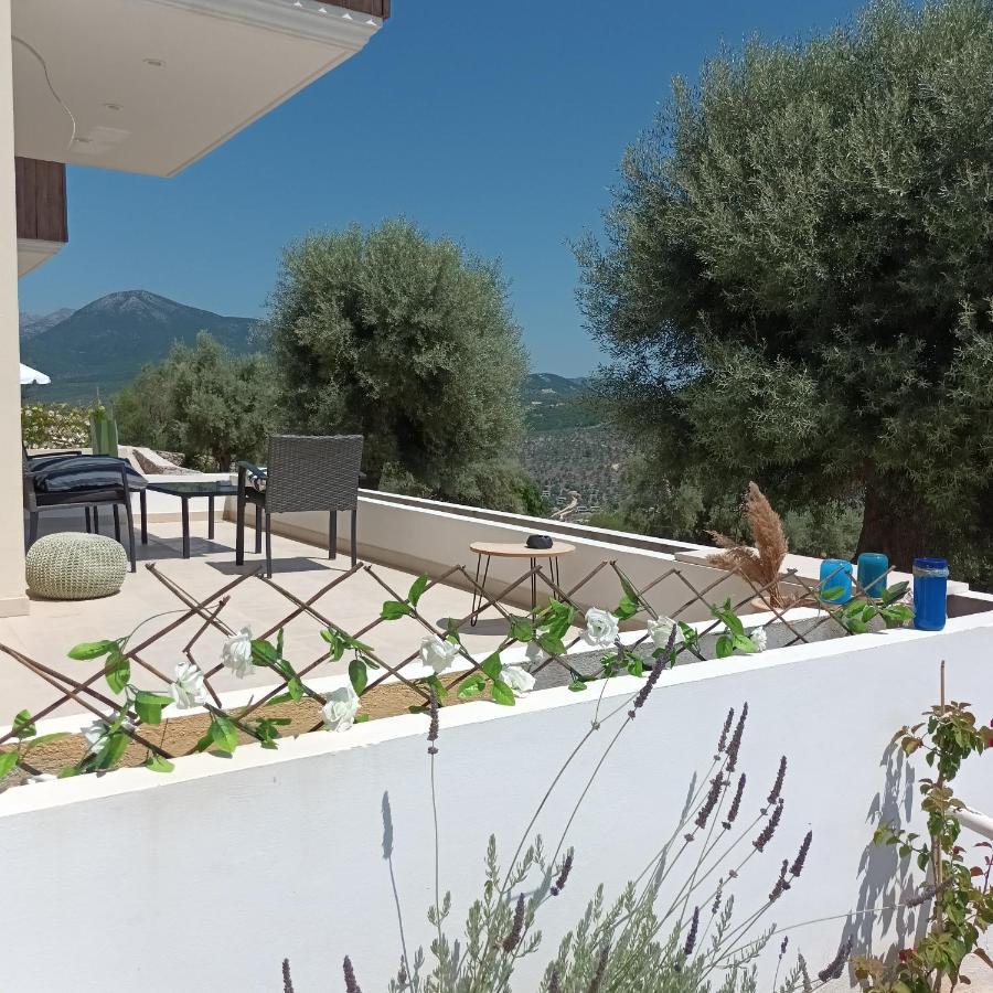 Kotseris Luxury Villas, Jiovanni Villa & Angelina Villa Σύβοτα Εξωτερικό φωτογραφία